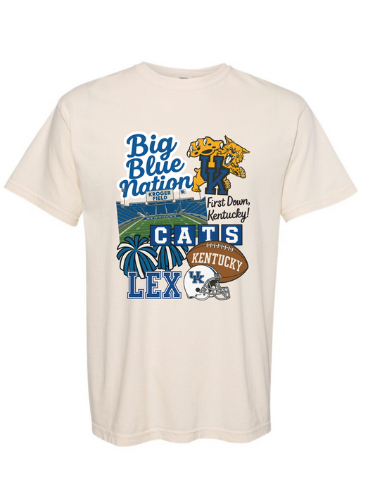 Adult Big Blue Nation Collage (COMFORT COLORS)